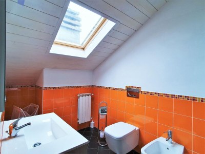 Holiday house Ferienhaus am Lago Maggiore mit Bergblick - Features photo 25