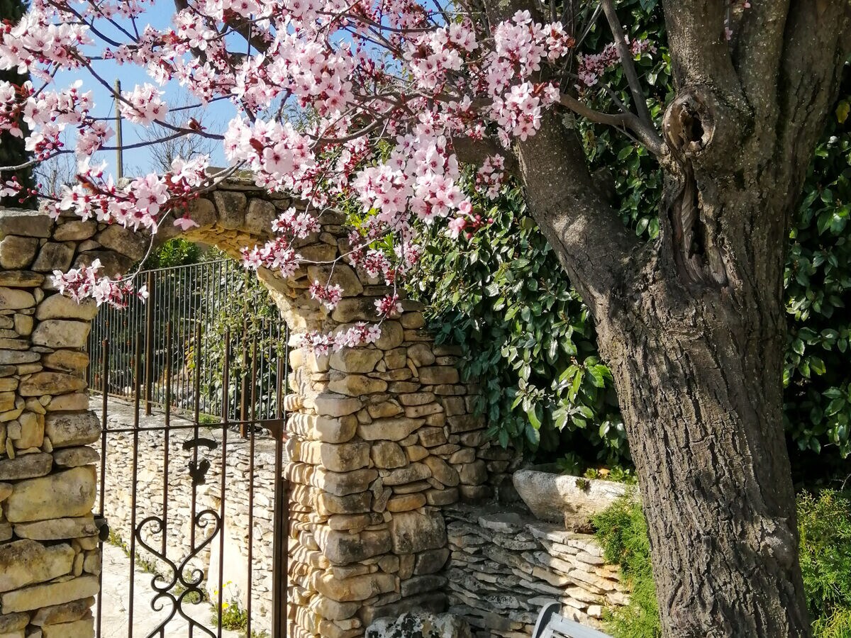 Holiday house Village house with pool and view â€“ 417 VIL - Outdoor photo 4