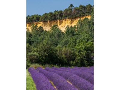 Holiday house Village house with pool and view â€“ 417 VIL - Environment photo 36