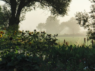 Holiday house Wall - Environment photo 9