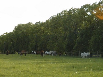 Holiday house Wall - Environment photo 11