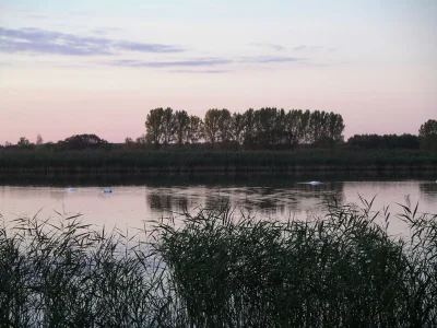 Holiday house Wall - Environment photo 12