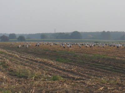 Holiday house Wall - Environment photo 13