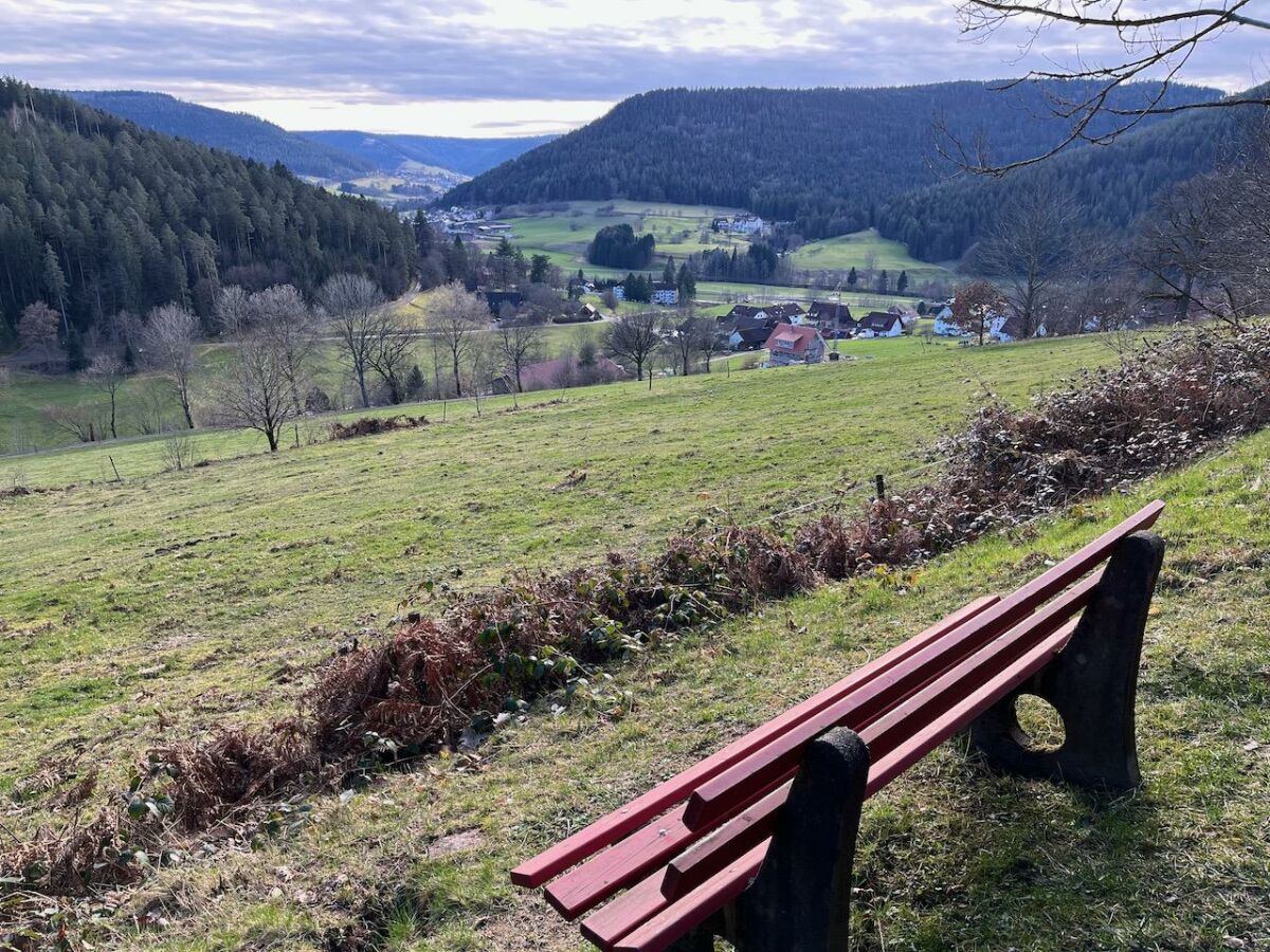 Apartment Ferienwohnung Murgtal - Outdoor photo 5