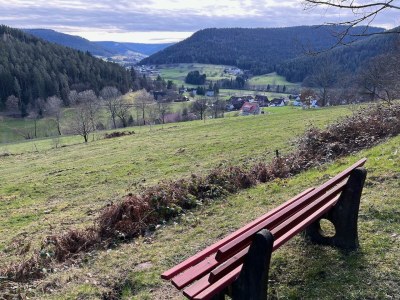 Apartment Ferienwohnung Murgtal - Outdoor photo 5