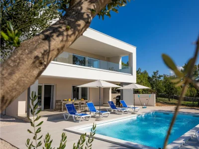 Villa Seaview Villa Deep Green with pool in Maslenica - Villa