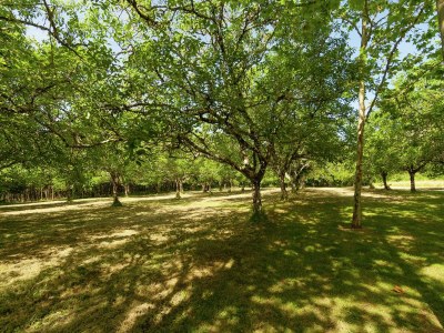 Cottage Familienvilla mit Pool - Outdoor photo 6