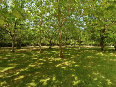 Cottage Familienvilla mit Pool - Environment photo 37