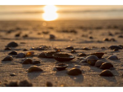 Holiday house Romantisches Wochenende mit Garten - Environment photo 29