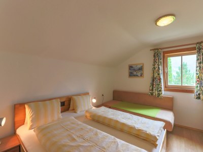 Holiday house Chalet in Piesendorf near Ski Slopes - Features photo 10
