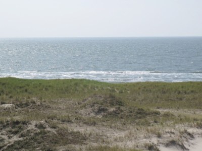 Holiday house Tormentil 33 - Environment photo 21