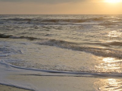 Holiday house Tormentil 33 - Environment photo 24