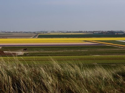 Holiday house Tormentil 33 - Environment photo 25