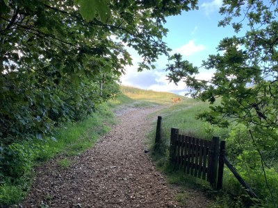 Holiday house PONDEROSA - Outdoor photo 6