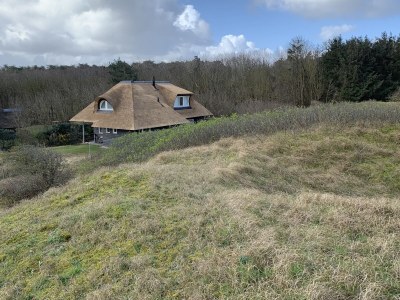 Holiday house PONDEROSA - Outdoor photo 7