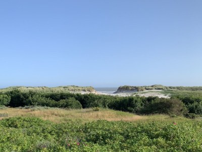 Holiday house PONDEROSA - Environment photo 30