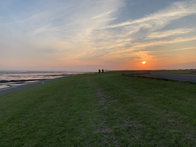 Holiday house PONDEROSA - Environment photo 31