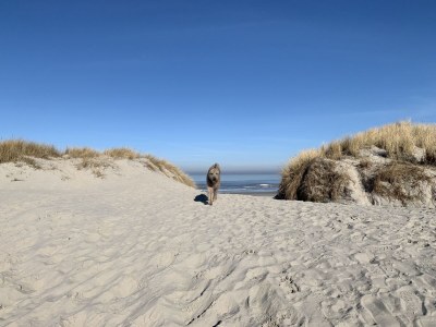 Holiday house PONDEROSA - Environment photo 32