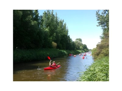 Villa Vrieswijk - Environment photo 19