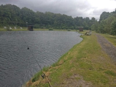 Holiday house 5 Sterne Ferienhaus in Hovborg-By Traum - Outdoor photo 8