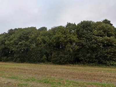 Holiday house 5 Sterne Ferienhaus in Hovborg-By Traum - Outdoor photo 16