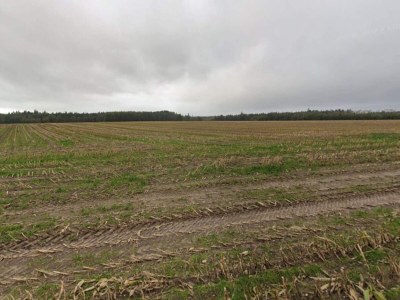 Holiday house 5 Sterne Ferienhaus in Hovborg-By Traum - Outdoor photo 32