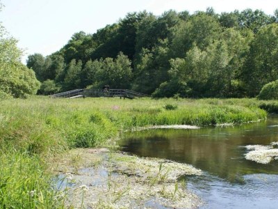 Holiday house 5 Sterne Ferienhaus in Hovborg-By Traum - Outdoor photo 33