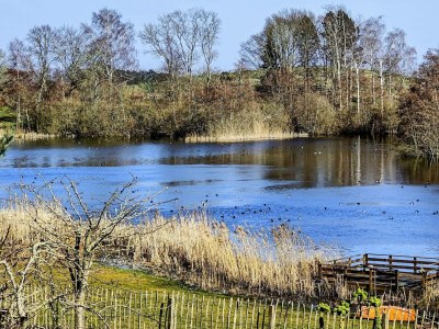 Holiday house 6 Personen Ferienhaus in Skibby-By Traum - Outdoor photo 31