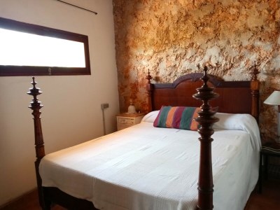 Finca Es Galliner - Features photo 13