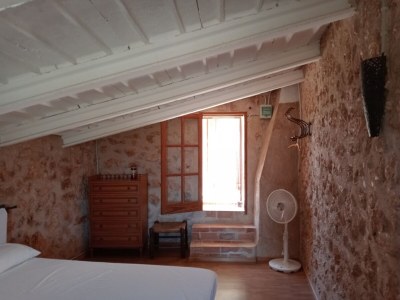 Finca Es Galliner - Features photo 17