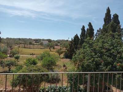 Finca Es Galliner - Environment photo 21