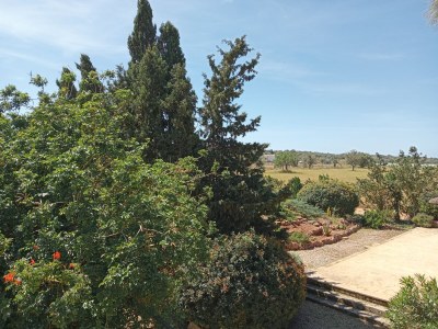 Finca Es Galliner - Environment photo 22