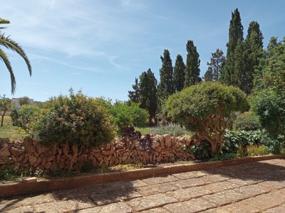 Finca Es Galliner - Environment photo 23