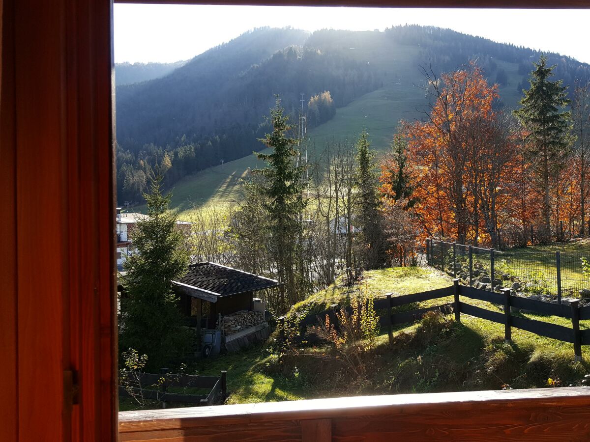 Apartment Appartement Unterbergblick