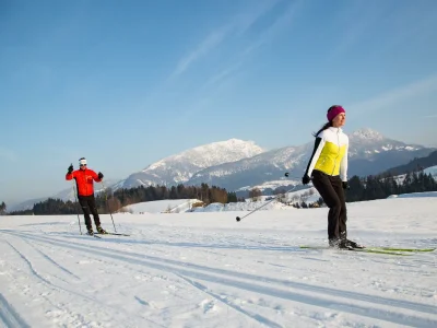 Apartment Appartement/Fewo, Dusche und Bad, WC, Erdgeschoß/P - Outdoor photo 4