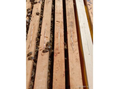 Holiday room Zimmer3 mit 2 Einzelbetten - Outdoor photo 49