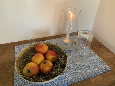 Holiday room Zimmer3 mit 2 Einzelbetten - Features photo 63