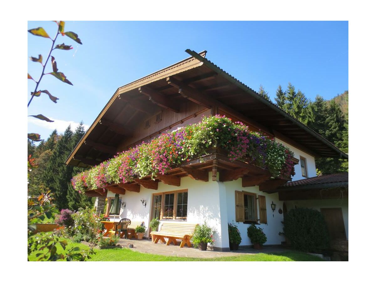 Apartment Apartment/Wohn-Schlafraum/DU,Bad, WC,