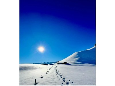 Apartment Lochner Alm - Outdoor photo 13