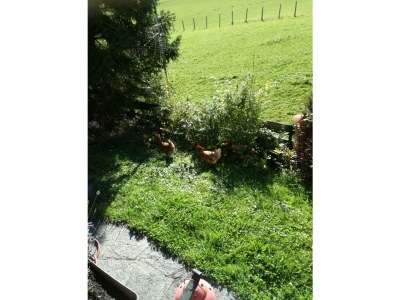 Apartment Appartement/Fewo, Dusche, WC, 2 Schlafräume - Outdoor photo 11