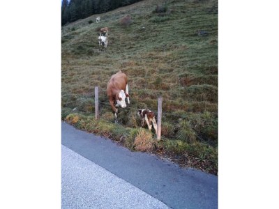 Apartment Appartement/Fewo, Dusche, WC, 2 Schlafräume - Outdoor photo 12