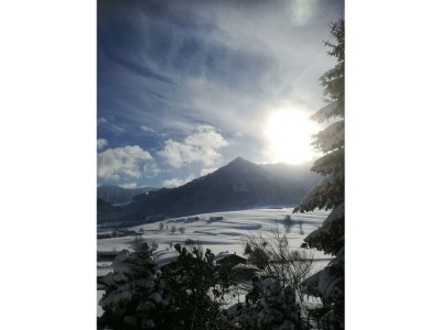 Apartment Appartement/Fewo, Dusche, WC, 2 Schlafräume - Outdoor photo 14