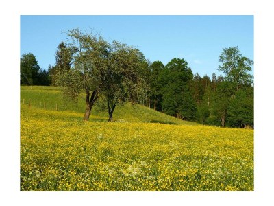 Apartment Appartement/1 Schlafraum/Dusche,WC,TV,Blk - Outdoor photo 4
