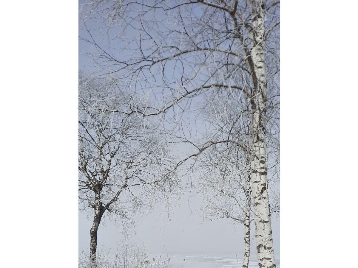 Apartment Tanja's Kaiserdomizil - Outdoor photo 5