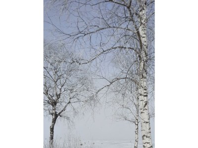 Apartment Tanja's Kaiserdomizil - Outdoor photo 5