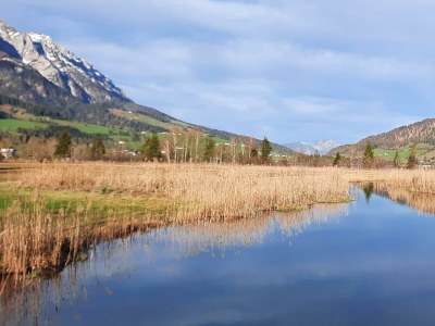 Apartment Tanja's Kaiserdomizil - Outdoor photo 7
