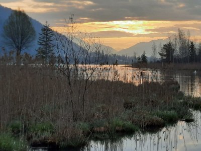 Apartment Tanja's Kaiserdomizil - Outdoor photo 9