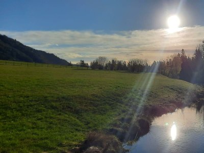 Apartment Tanja's Kaiserdomizil - Outdoor photo 24