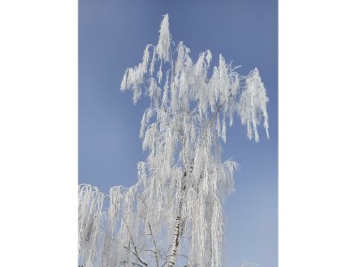 Apartment Tanja's Kaiserdomizil - Outdoor photo 25