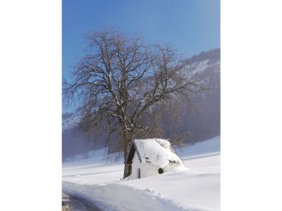 Apartment Tanja's Kaiserdomizil - Outdoor photo 28